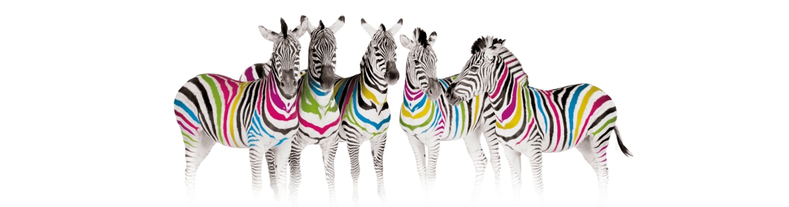 The Colour Copier Company
